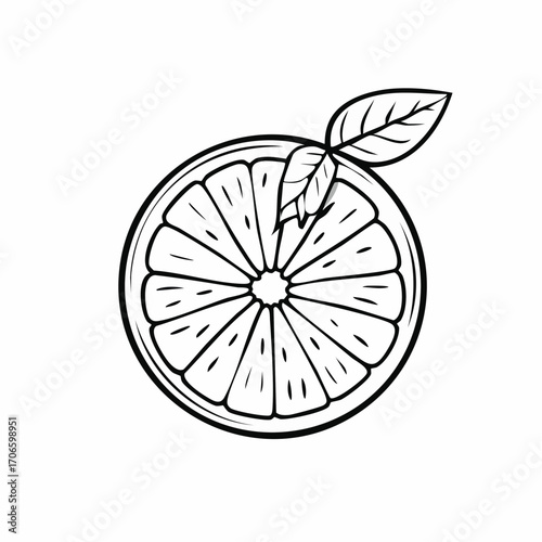 Citrus Spritz Simple Line Art