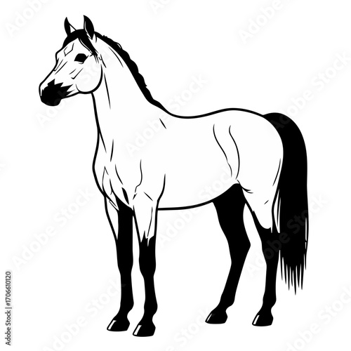Black and white illustration a horse