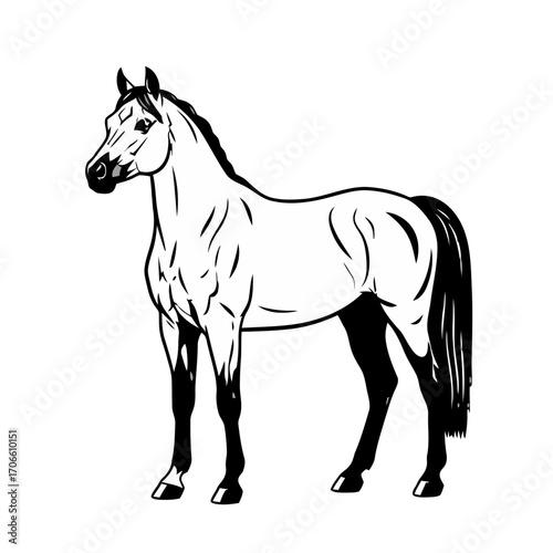 A black and white illustration a horse