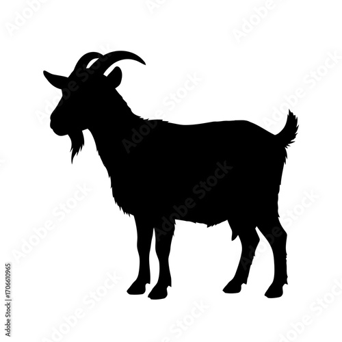 Silhouette a goat standing
