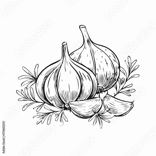 hand drawn garlic bread line art for food design