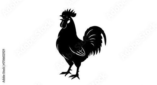 Black silhouette a rooster crowing