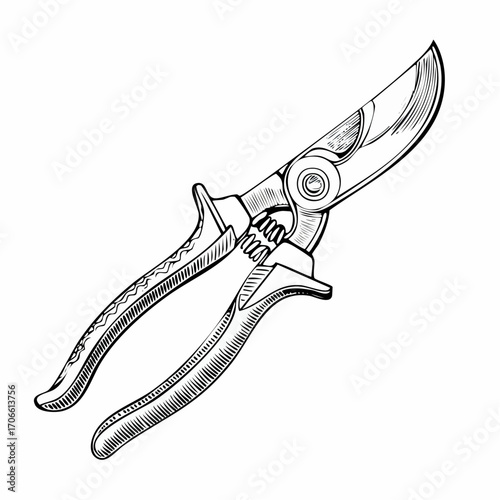 Grafting knife tool for professional horticulturists line art vector