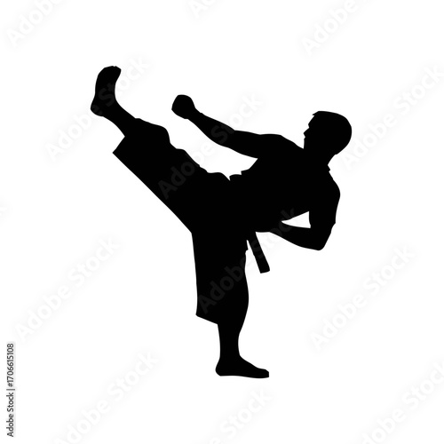 Silhouette a martial artist performing a high kick