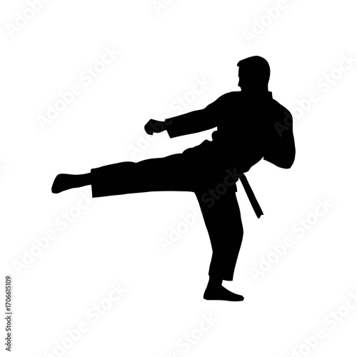 Silhouette a karateka performing a side kick