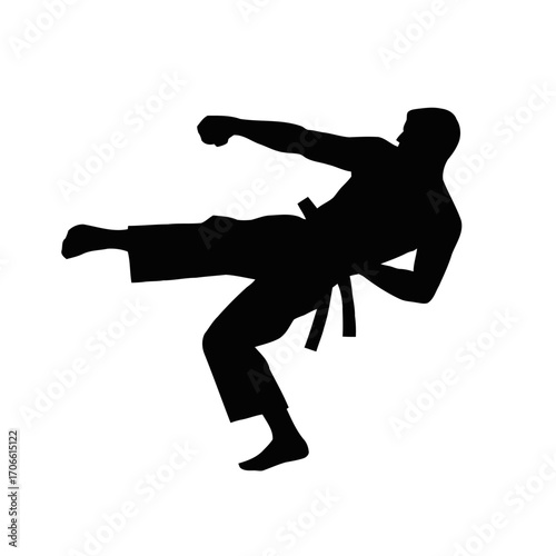 Karate fighter silhouette performing a kick