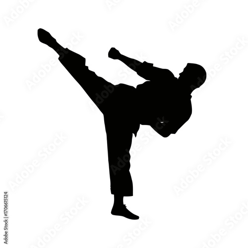 Silhouette a martial artist performing a high side kick