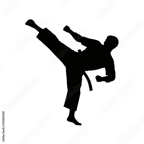 Silhouette a karateka performing a side kick