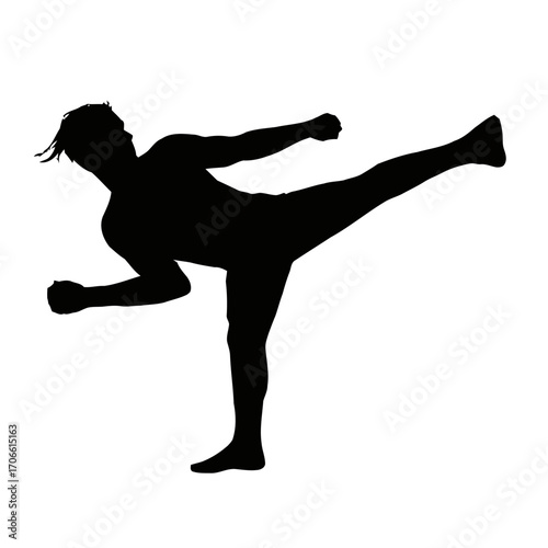 Silhouette a person performing a martial arts kick
