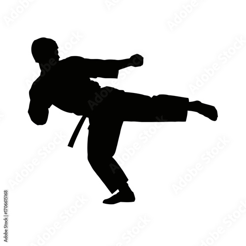Silhouette a martial artist performing a side kick