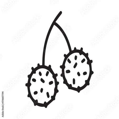 Two spiky fruits on a branch