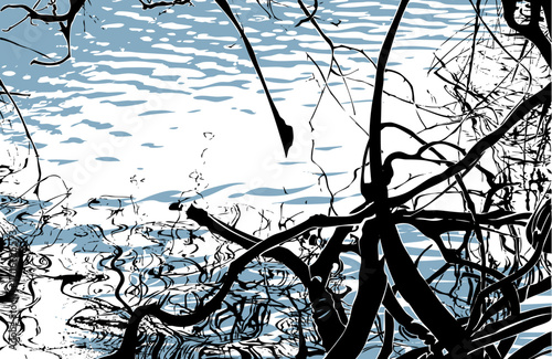 branches_water