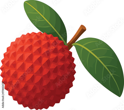 Vibrant lychee fruit illustration with lush green leaves, ideal for food packaging, fruit labels, healthy lifestyle branding, restaurant menus, and tropical-themed designs.