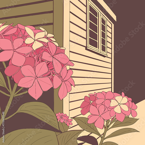 Pink hydrangeas in bloom near a wooden shed flowers