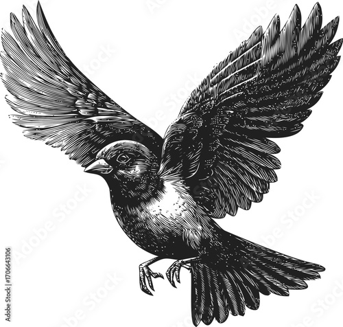Bird sketch hand drawn flying sparrow with spread wings detailed feathers — stock vector