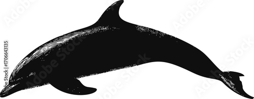 Dolphin silhouette sketch, hand drawn style with textured shading — stock vector
