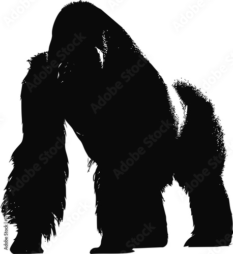 Gorilla silhouette sketch, hand drawn style, standing powerful pose — stock vector