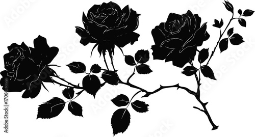 Black rose branch sketch, hand drawn vector with blooming flowers and leaves — stock vector
