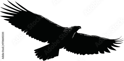 Eagle silhouette sketch, hand drawn flying bird with outstretched wings — stock vector