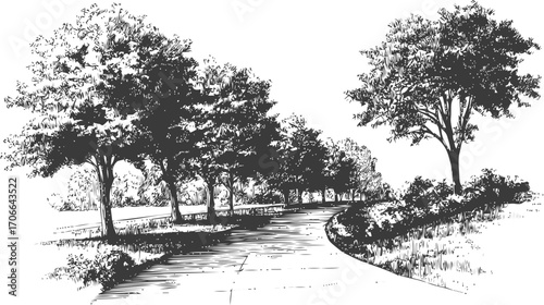 Tree tunnel sketch, hand drawn road lined with leafy trees and curved pathway — stock vector