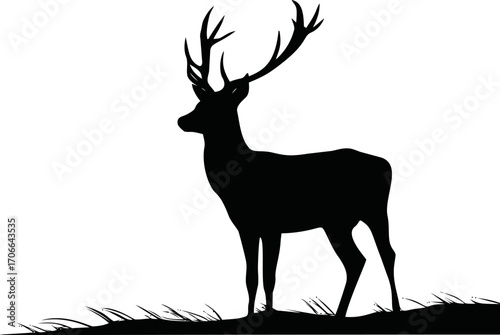 Deer silhouette sketch hand drawn standing on grass with antlers — stock vector