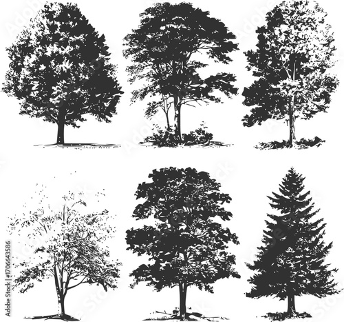 Tree silhouettes sketch hand drawn set, various deciduous and coniferous trees — stock vector