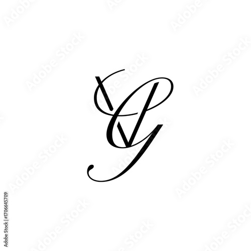 initial letter V with g script logo
