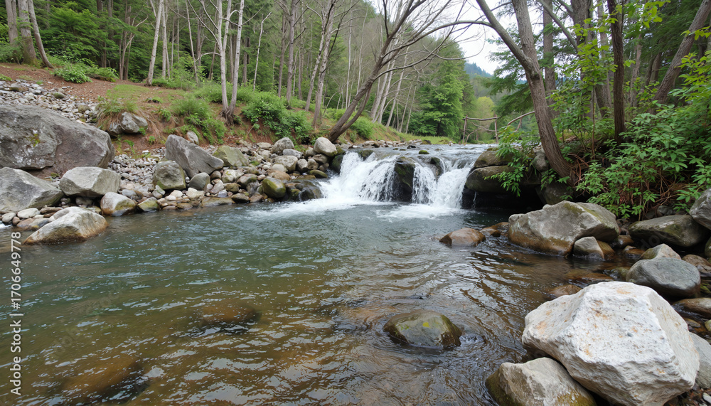 Fototapeta premium Small waterfall flowing over rocks in a serene natural landscape 