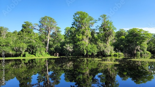 Hillsborough River and Swamp