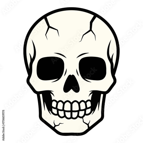 Skull Graphic Illustration for Halloween or Gothic Theme Design