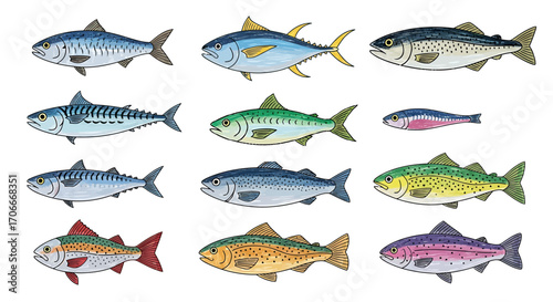 Illustration of various fish species, showcasing diverse colors and shapes, perfect for educational purposes.
