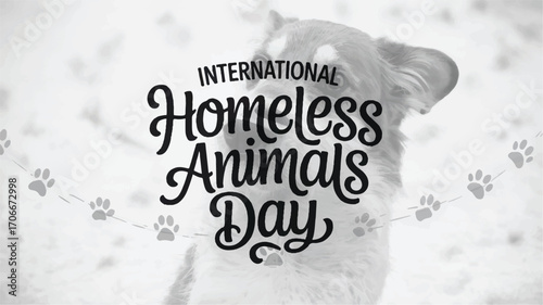 Celebrate International Homeless Animals Day Show Your Support for Animals in Need