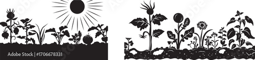 Black and white garden illustration with plants sun and soil silhouette vector