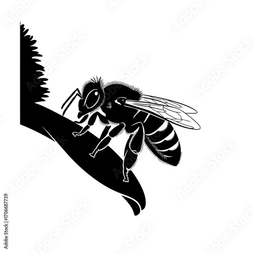 Honey bee on a flower silhouette isolated on white background
