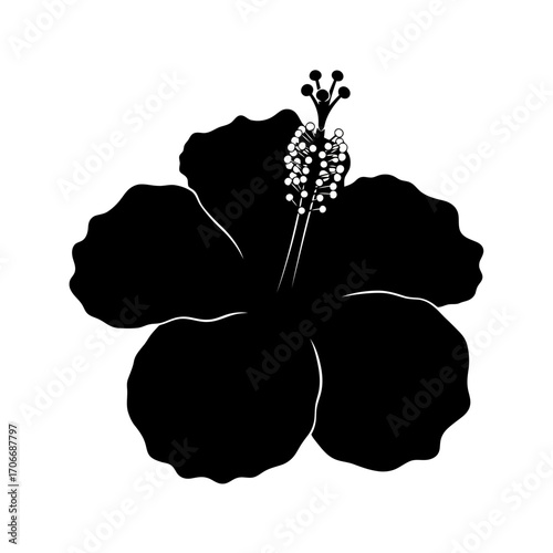 Black hibiscus flower silhouette isolated on white background
