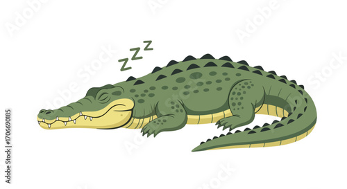 Cartoon Crocodile Illustration: A depiction of an alligator peacefully sleeping with exaggerated 'Z's above conveying rest and tranquility