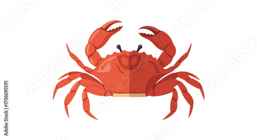 Cartoon depiction of a vibrant red crab with prominent claws isolated on a stark white background marine life illustration