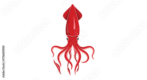 Crimson Squid Illustration: Vivid Depiction of Cephalopod with Intricate Tentacle Detail on White Backdrop