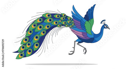 Stylized Peacock Illustration with Vibrant Plumage Displaying Elegant Movement Against Plain Background Showcase 83 characters