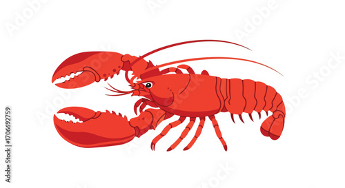 Vibrant scarlet lobster with formidable claws poised against a blank canvas for culinary or maritime themed designs and illustrations