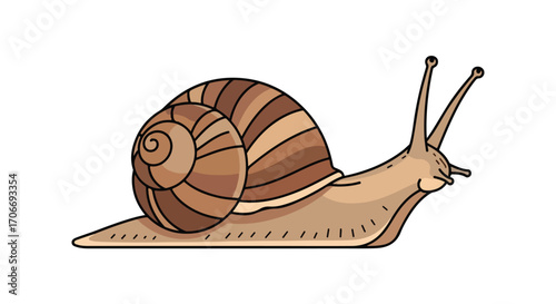 Detailed artistic representation of a terrestrial gastropod mollusk with coiled shell slowly moving, isolated on a clear background creating a