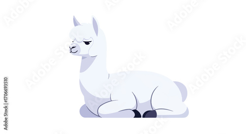 A serene llama illustration resting quietly on a white canvas, perfect for various design applications and digital illustrations