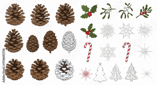 Christmas icon christmas holiday elements vector design with pine cones snowflakes holly mistletoe candy cane and trees design vector