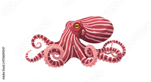 Stripped octopus illustration, marine invertebrate wildlife creature, vector design, undersea life depiction
