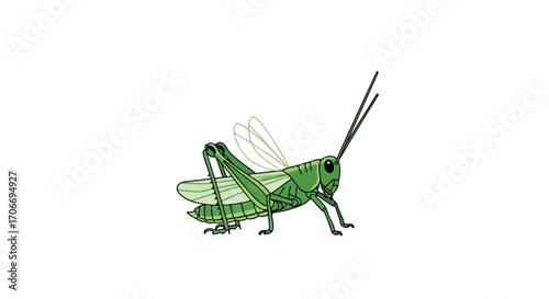 Illustration showcasing a vibrant green grasshopper poised for action with its wings slightly spread open inviting a sense of dynamism and movement