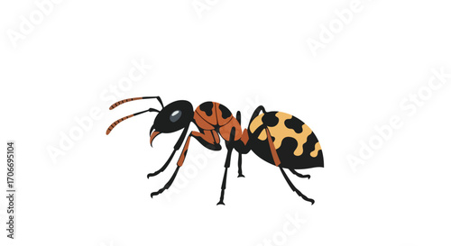 Detailed depiction of an isolated black and brown ant with distinctive patterns against a pure white background, capturing its intricate exoskeleton