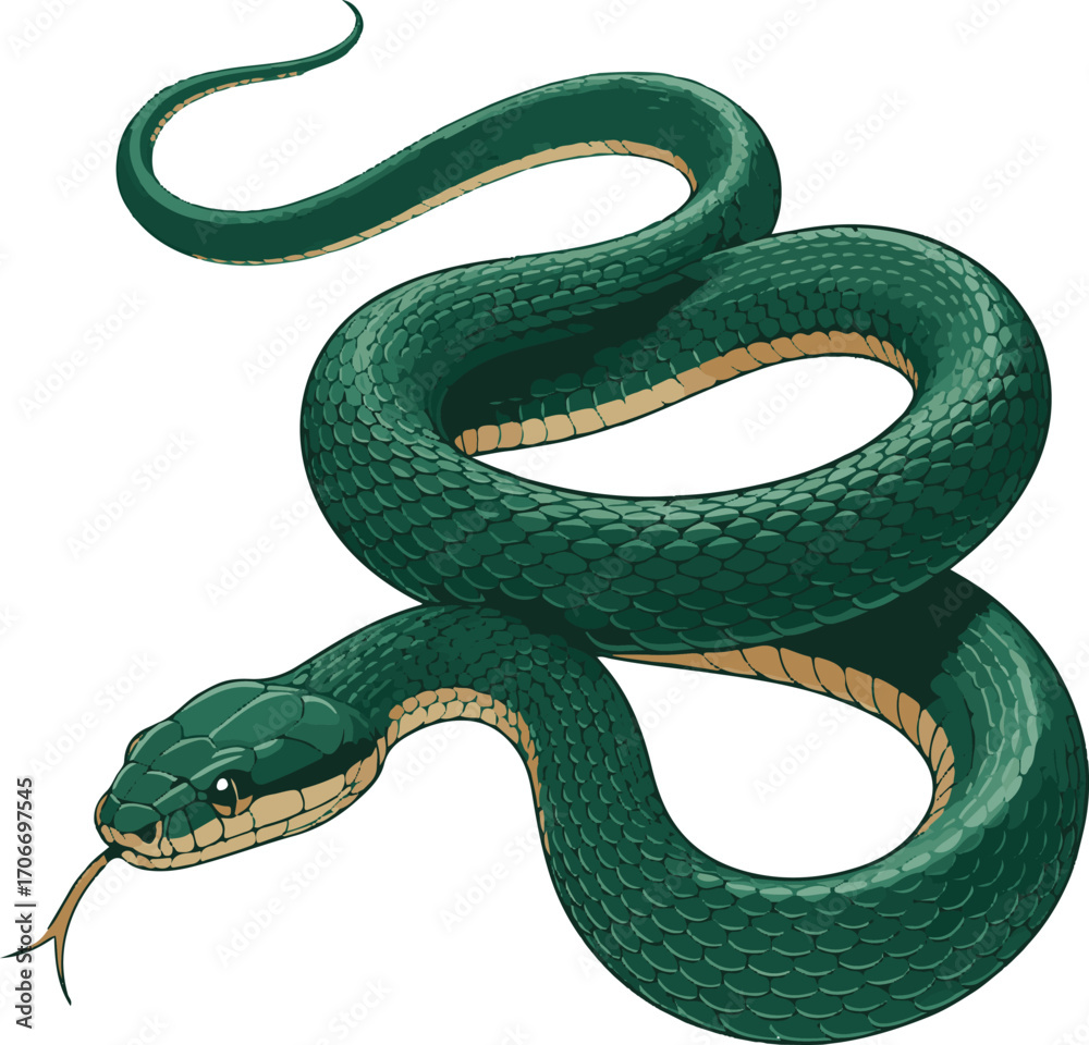 Fototapeta premium Full Body Snake Realistic Vector on White