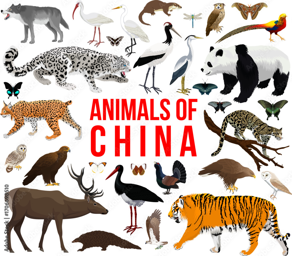 Fototapeta premium vector set - animals of china