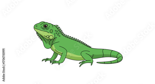 Cartoon iguana illustration showcasing vibrant green scales and a curious expression, isolated on a white background for educational purposes