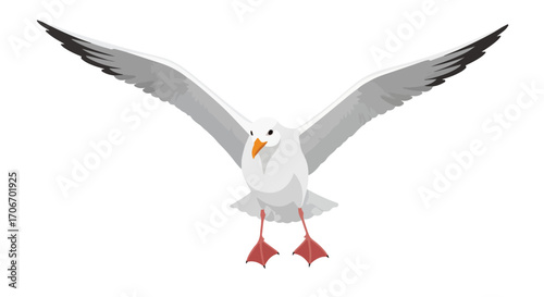Seagull Illustration with Wide Wingspan Against a Plain Background for Graphic Design Use In Various Projects
